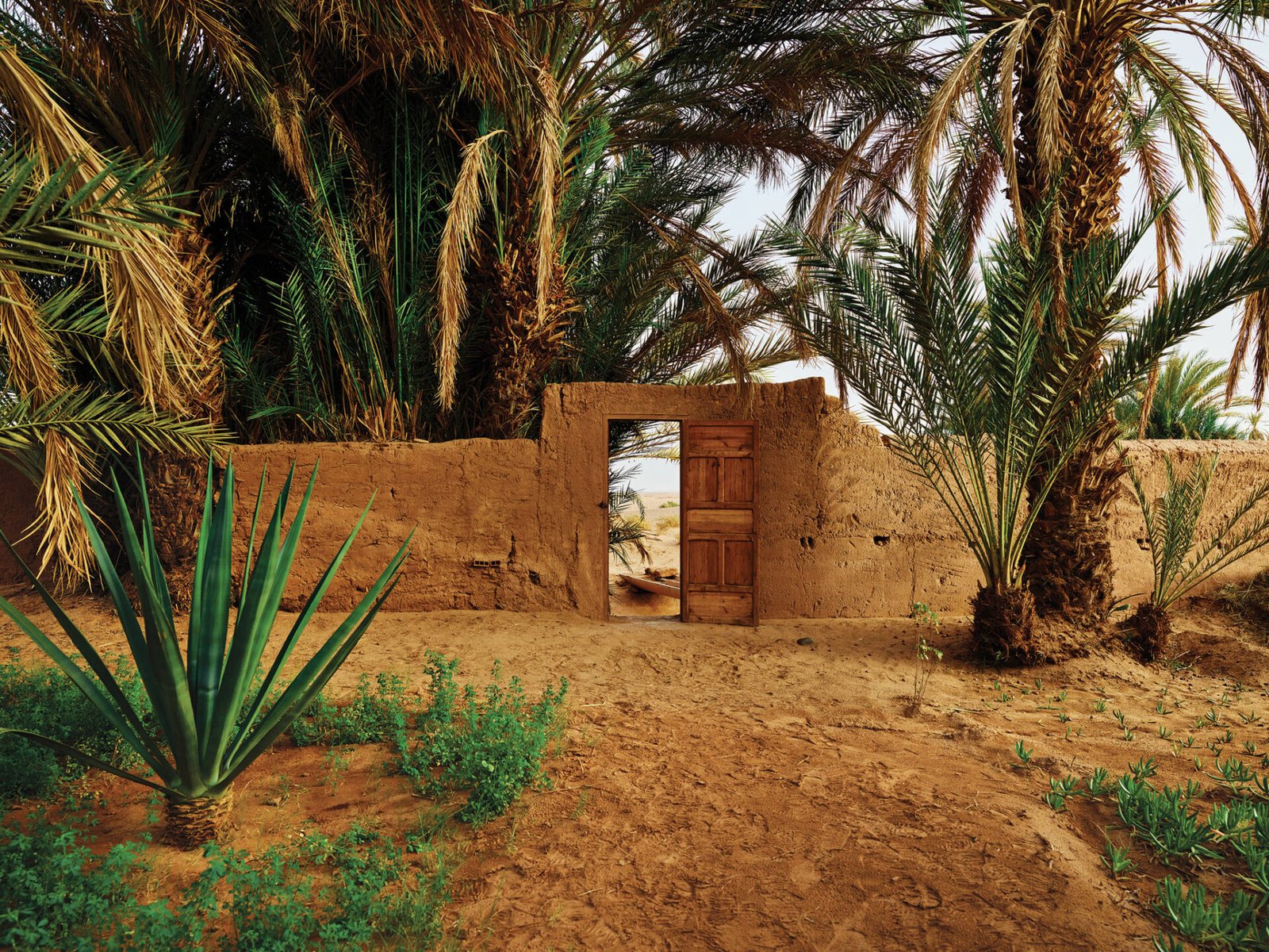 Draa Valley – Historic Architecture and Scenic Morocco Road Trip