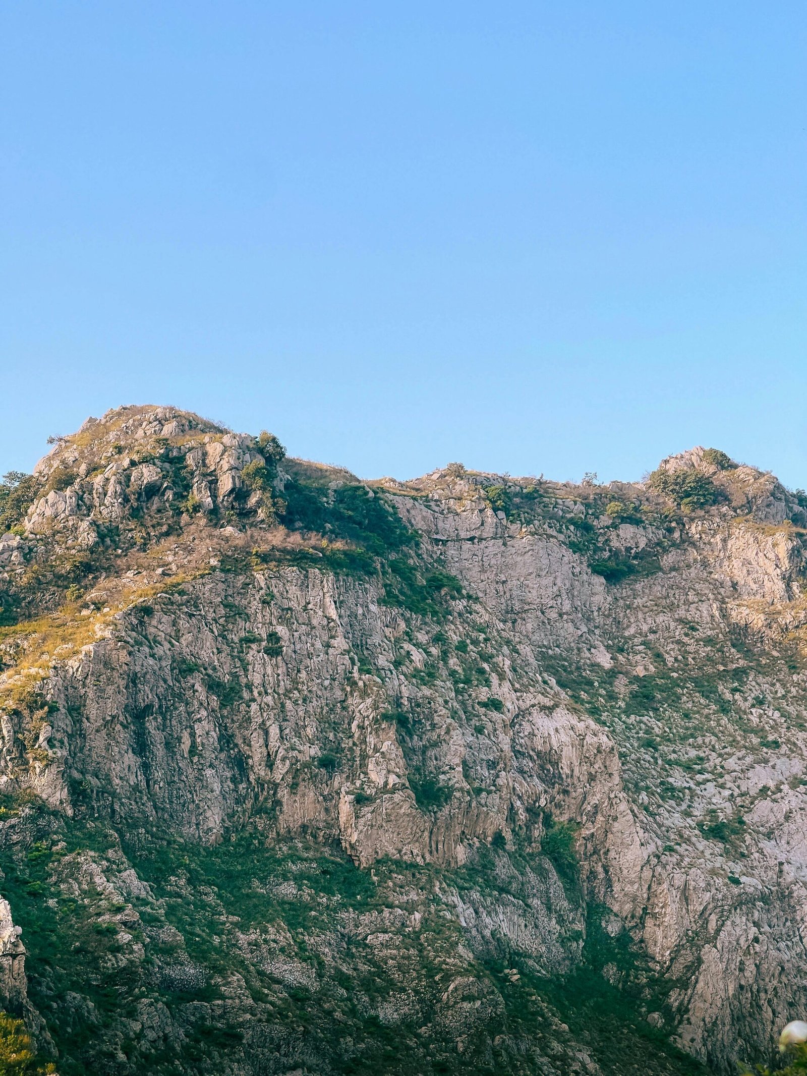 TripTrial travel planning guide