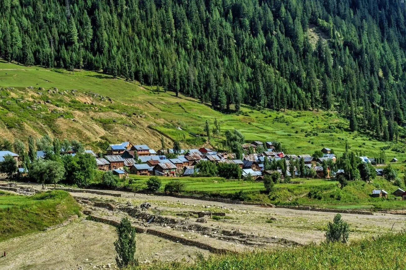 Scenic view of Tulail Valley in Kashmir featuring traditional wooden houses, lush green fields, and dense pine forests on the hillside