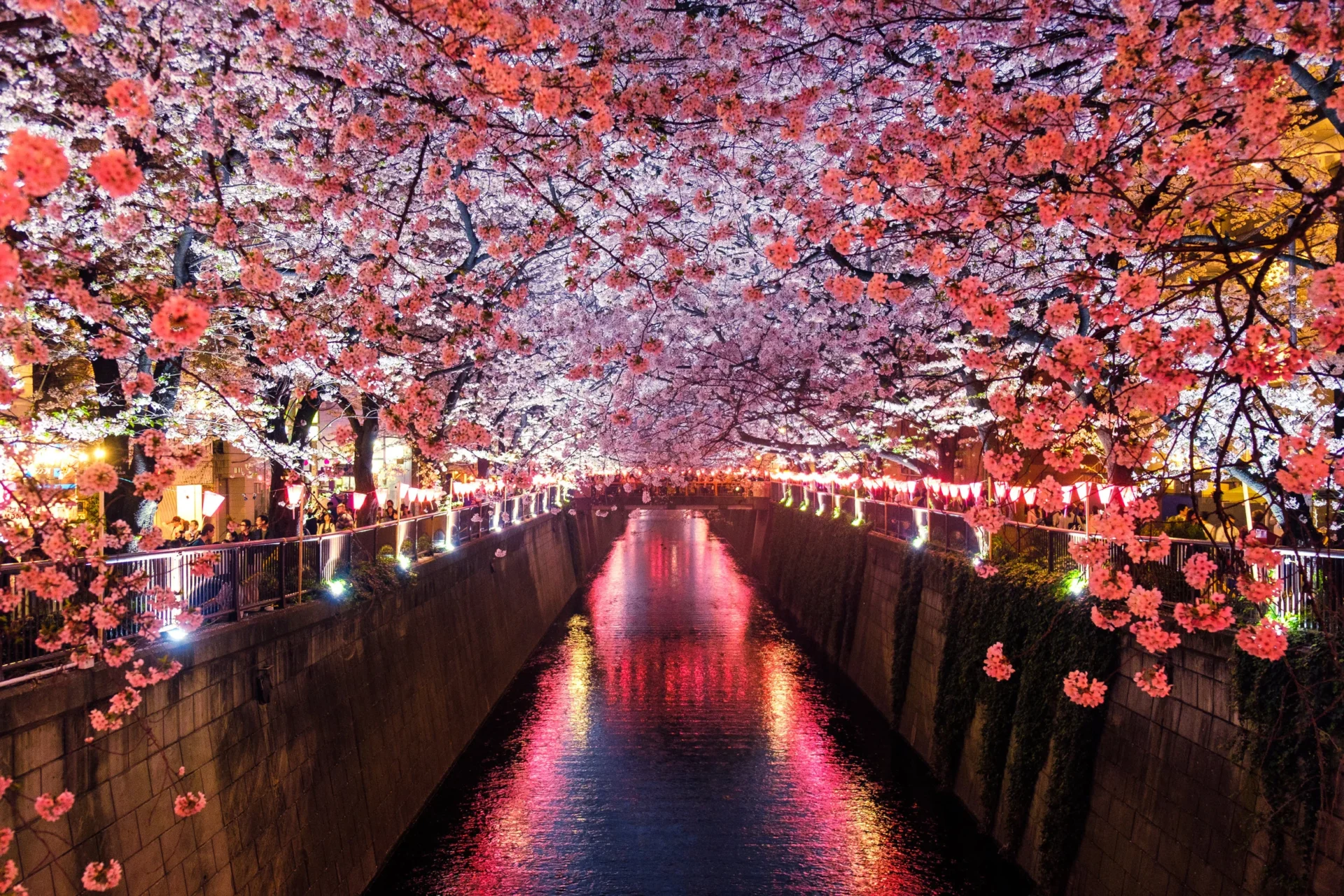 Peaceful Kyoto at Night