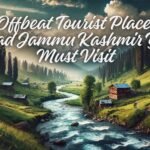 Family travel activities: Unforgettable Adventures