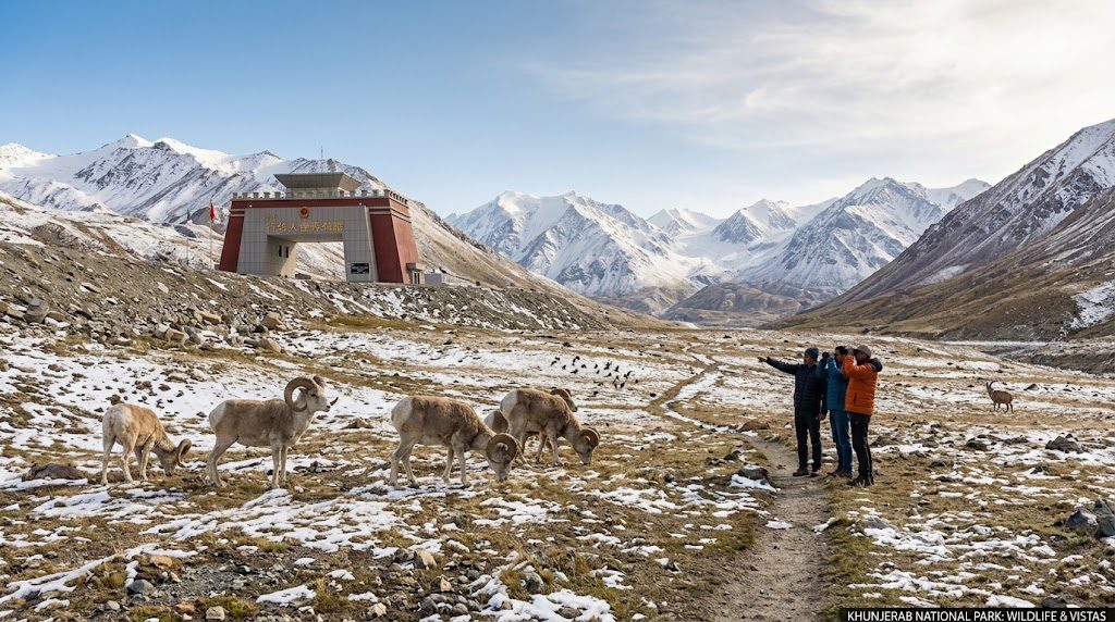 What to see at Khunjerab National Park, including snow-covered mountains, scenic alpine landscapes, and wildlife such as the Himalayan ibex and snow leopard.