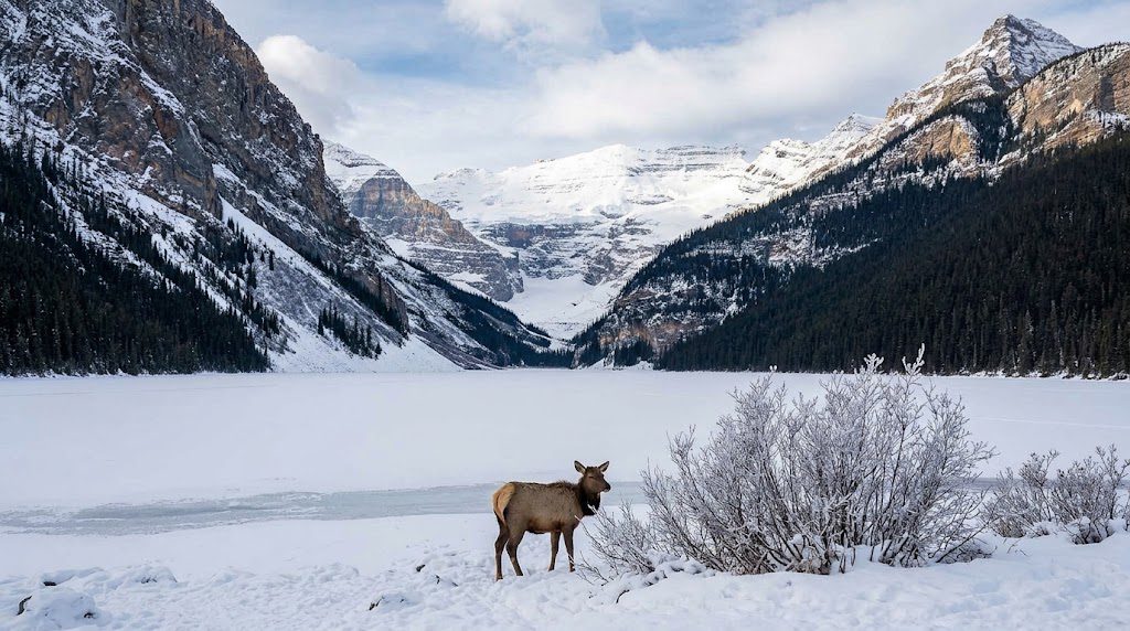 Banff Canada winter vacation destination with snow-covered mountains and frozen lakes